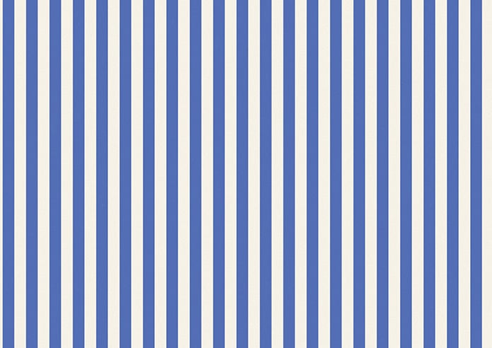 The British Stripe Co. Catherine, Bristol No.2 - Twist&Fit Roman Blind - Image 8
